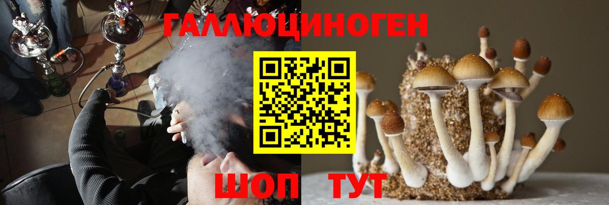 Галлюциногенные грибы Psilocybine cubensis Нягань